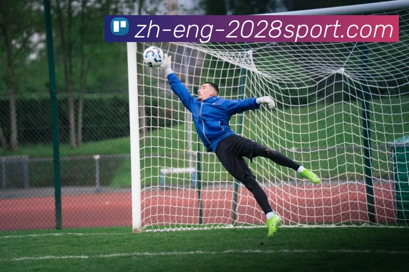 2028体育官网APP 体育赛事宣传图